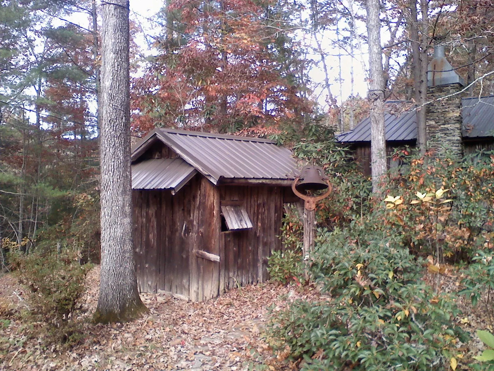 Small metal roof on a rough sawn shed in the woods in Centerbrook